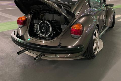 beetle