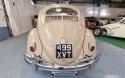 ‘57 LHD Oval Window Beetle rear view